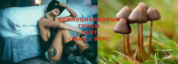 молекула духа Магадан