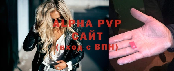 гидра Магас