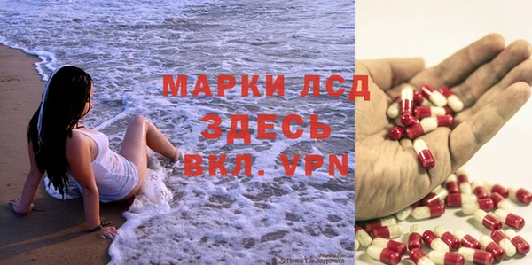 гидра Магас