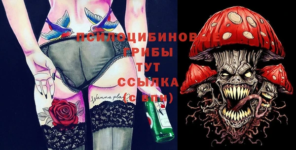 гидра Магас