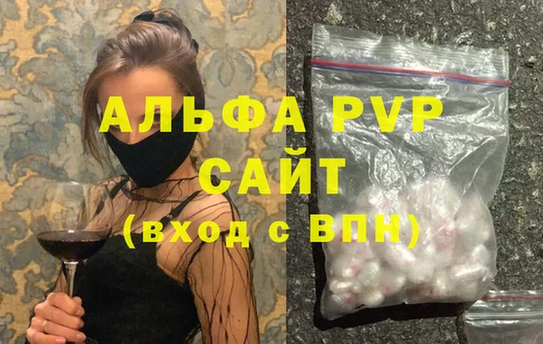 молекула духа Магадан
