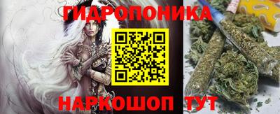 ешки Новодвинск
