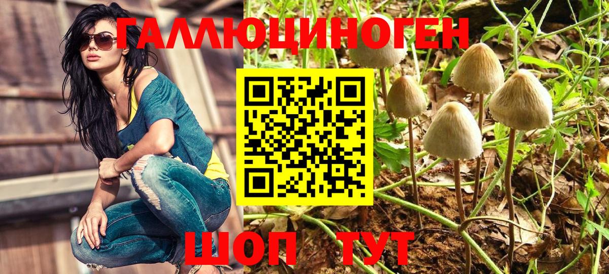 Темрюк  Галлюциногенные грибы Psilocybe  Вход с VPN 